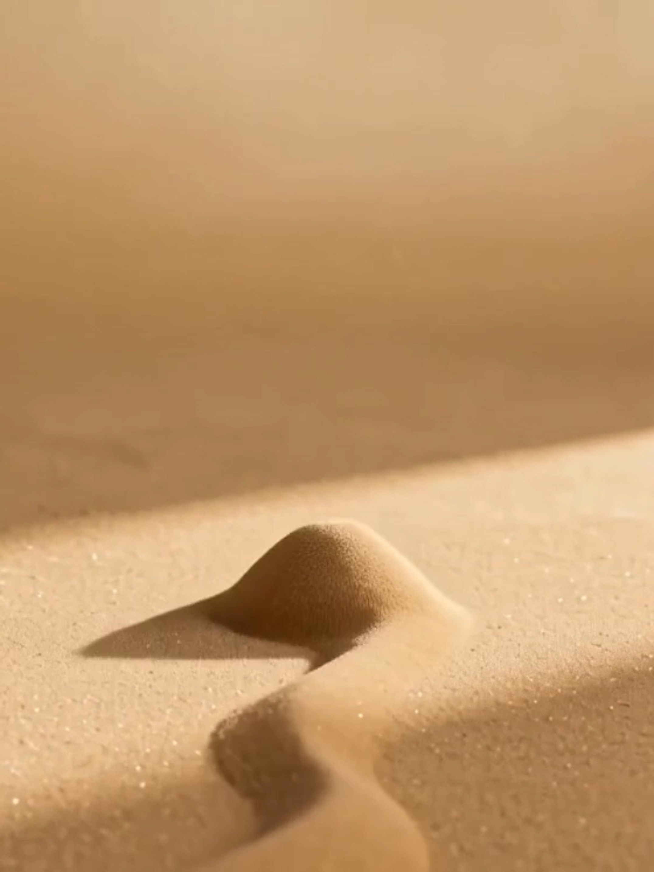 Sand Sculpture 